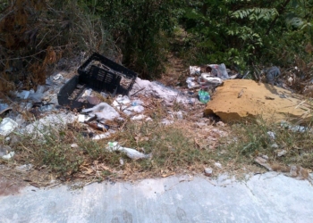 Basurero clandestino en la colonia del bosque