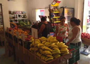 Por las nubes el precio de frutas y verduras