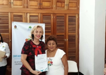 10 de los 11 municipios carecen de sus Comité Institucional para la Igualdad de Género