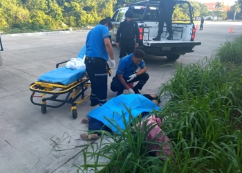 Aparece mujer semidesnuda y golpeada en una zona verde