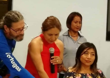 Se registra un menor número de tortugas en las costas Quintana Roo