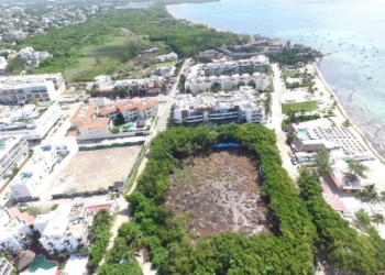 Invasores serían responsables de devastación en Albatros