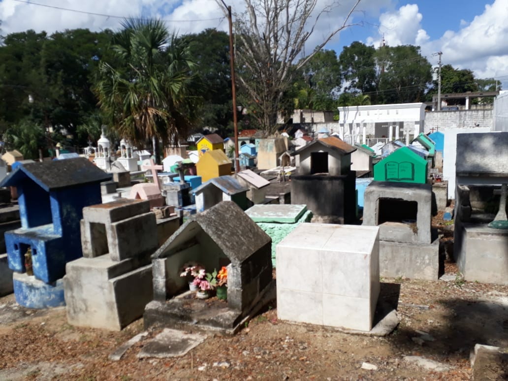 Se le da manita de gato al camposanto de la ciudad