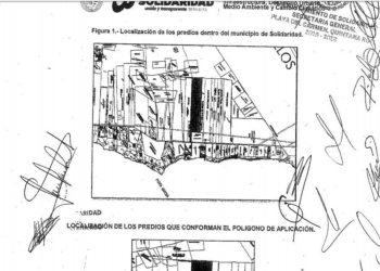 Autorizó Cristina Torres desarrollar 330 hectáreas de selva