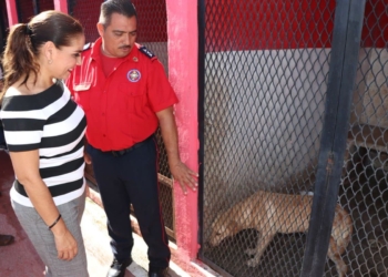 Actualizará Benito Juárez valores catastrales