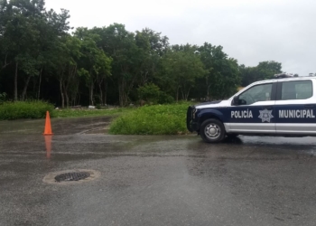 Hallan cuerpo putrefacto en Playa del Carmen