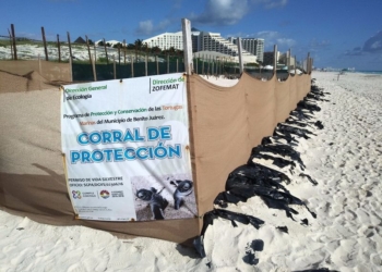 Procederán penalmente contra quienes autorizaron Gran Solaris