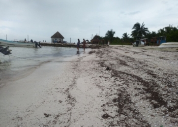 Aplaude Cemda plan de manejo de Yum Balam
