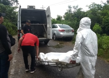 Lo confunden con un animal salvaje y le disparan