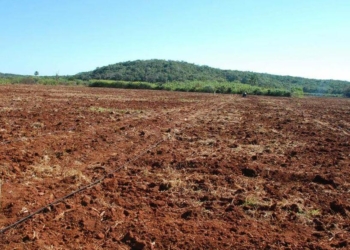 Aumento en el precio del combustible impacta al campo del Granero del Estado