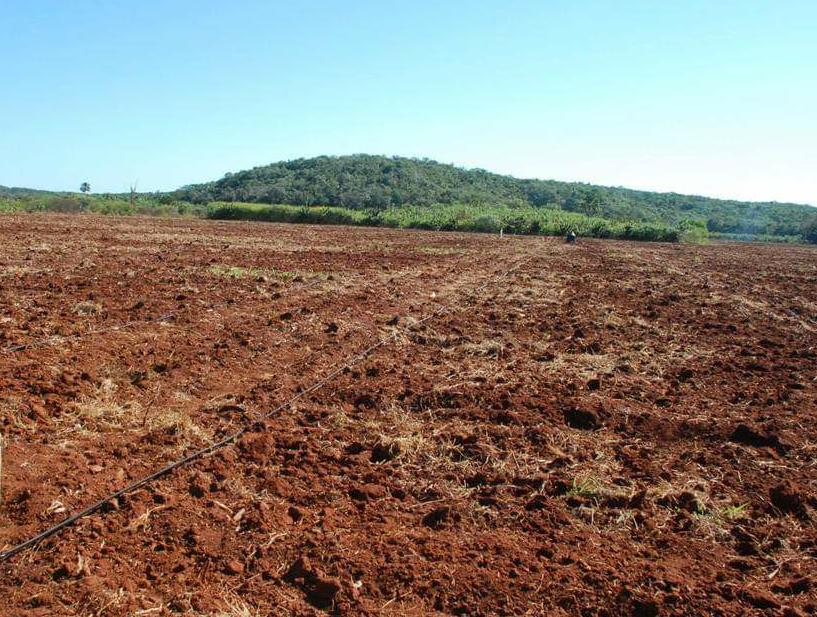 Aumento en el precio del combustible impacta al campo del Granero del Estado