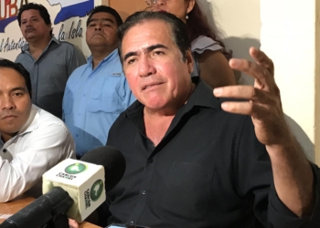Vocero morenista no es inviable una coalición con el Partido Verde