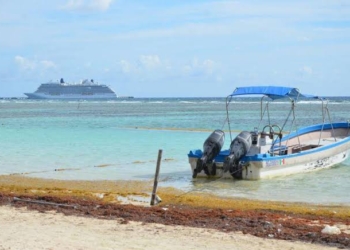 Barreras de contención de sargazo de poco sirven en playas de Mahahual