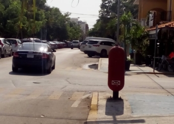 Cada día sin árboles en Playa del Carmen