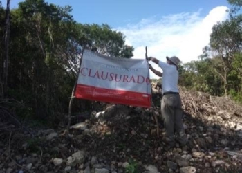 Clausura Profepa predio en carretera Playa-Tulum