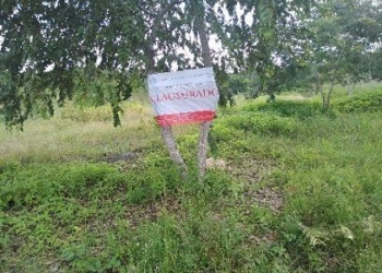 Clausura Profepa invasión en terrenos de Xpu Ha