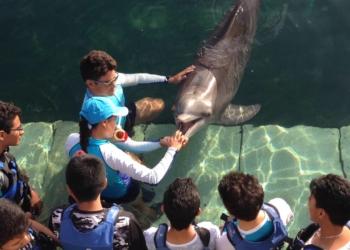 Acreditan a acuarios y delfinarios de Q. Roo