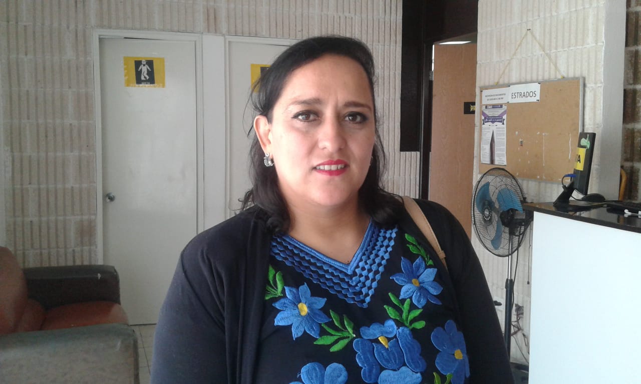 Emiliano Ramos e Ivanova en vías de ser expulsados del PRD