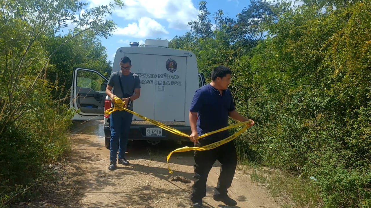 Hallan osamenta en Cozumel; sería de hombre levantado