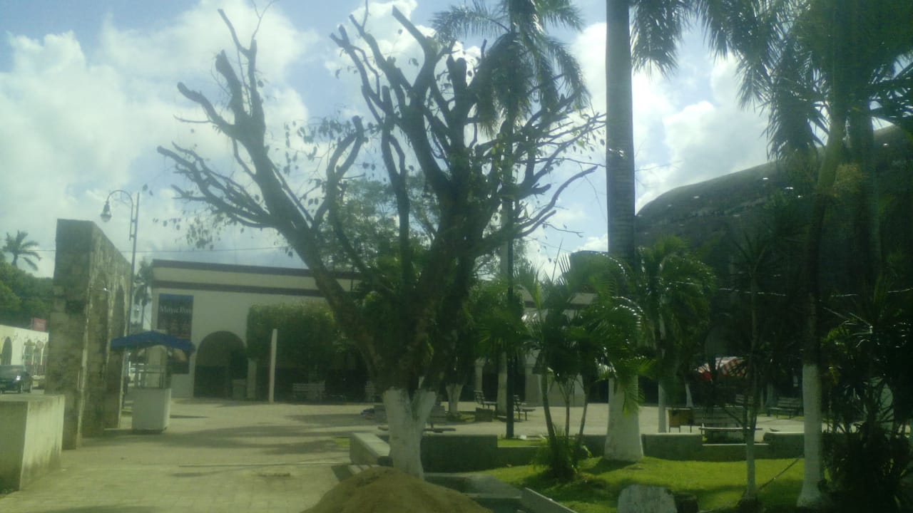 Rasuran áreas verdes del museo y parque de FCP