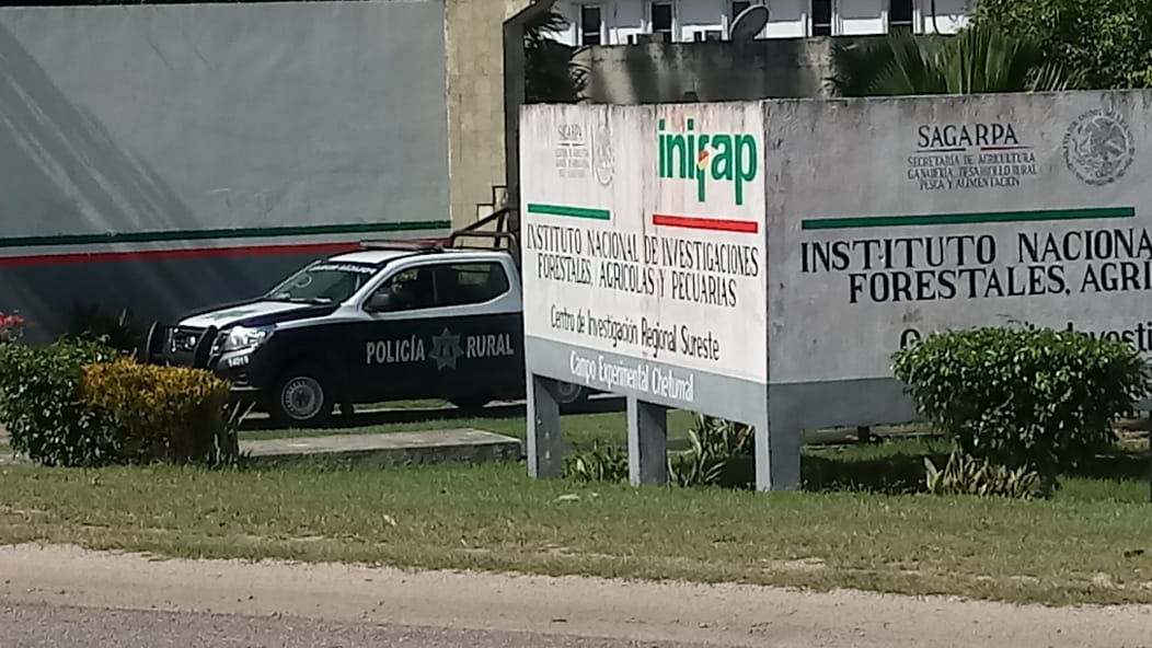 Reportan asalto al Inifap Chetumal