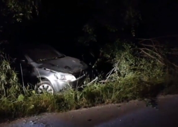 Extranjera se sale de carretera para evitar chocar contra Jaguar