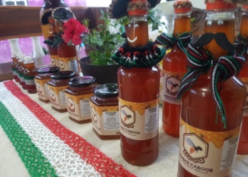 Artesanos se reunirán mañana en Puerto Morelos