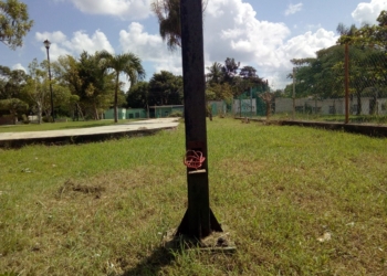 Dejan sin cableado eléctrico parque de la colonia Guadalupe
