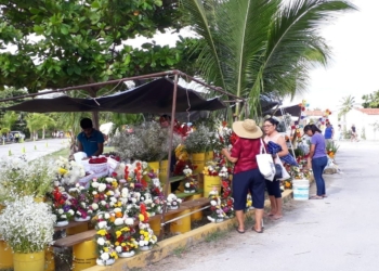 Colapsan florerías establecidas