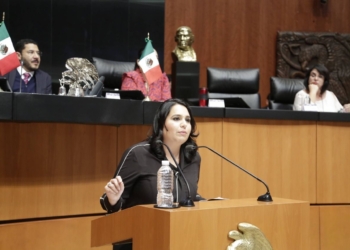 “Las comunidades indígenas tendrán mayor atención” Mayuli Martínez