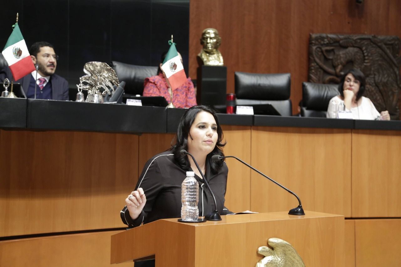 “Las comunidades indígenas tendrán mayor atención” Mayuli Martínez