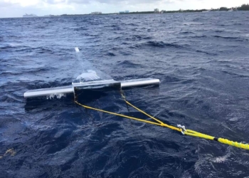 Estudian el daño de microplásticos en el mar