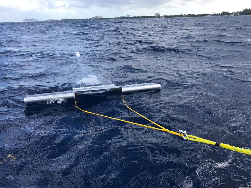 Estudian el daño de microplásticos en el mar