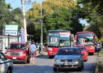 Todavía no “destraban” concesiones de transporte en Cancún