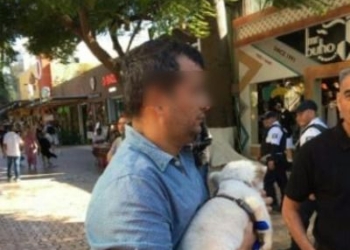 Regresa la explotación animal a la Quinta Avenida