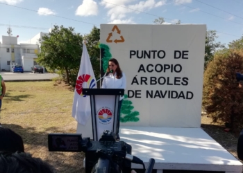 Confirma Mara Lezama hallazgo de irregularidades