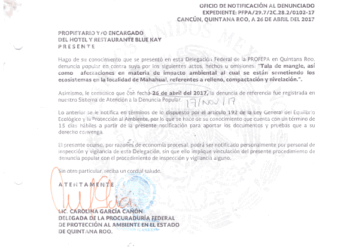 “Tortuguismo” en la Profepa para proceder en contra de Blue Kay por ecocidio