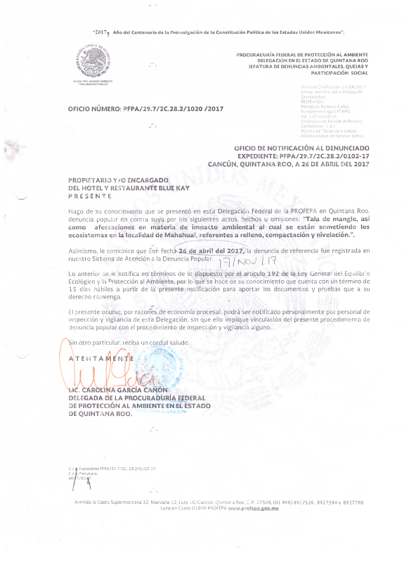 “Tortuguismo” en la Profepa para proceder en contra de Blue Kay por ecocidio