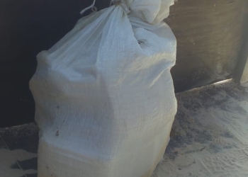 Recalan ladrillos de marihuana en Xcalacoco
