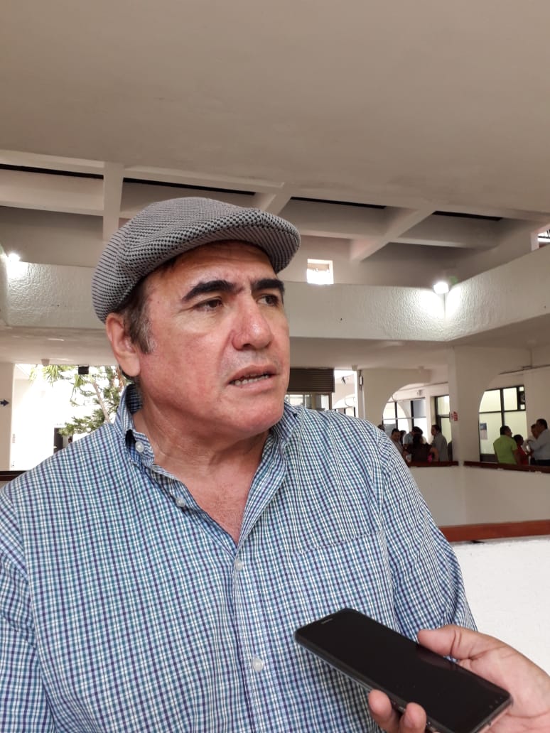 Justifica vocero de Morena coalición con el Verde