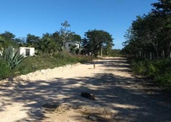 Aumento de robos y asaltos por falta de alumbrado público