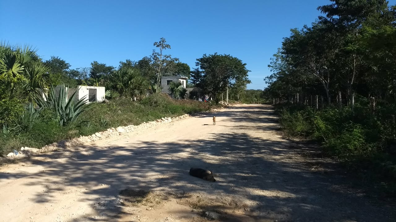 Aumento de robos y asaltos por falta de alumbrado público