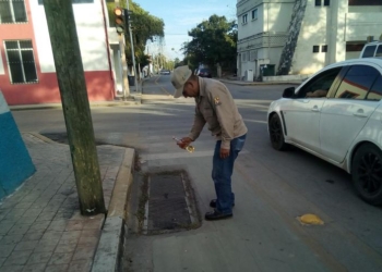 Salud mantiene vigilancia por el mosco tigre en Quintana Roo