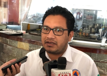 Reporta Protección Civil 31 árboles caídos