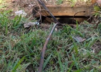 Se roban 300 metros de cable del sistema eléctrico del campo de fútbol ubicado en la colonia Dolores