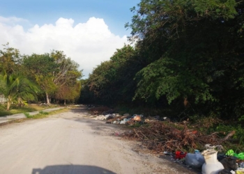 Tiradero de basura en los alrededores del panteón