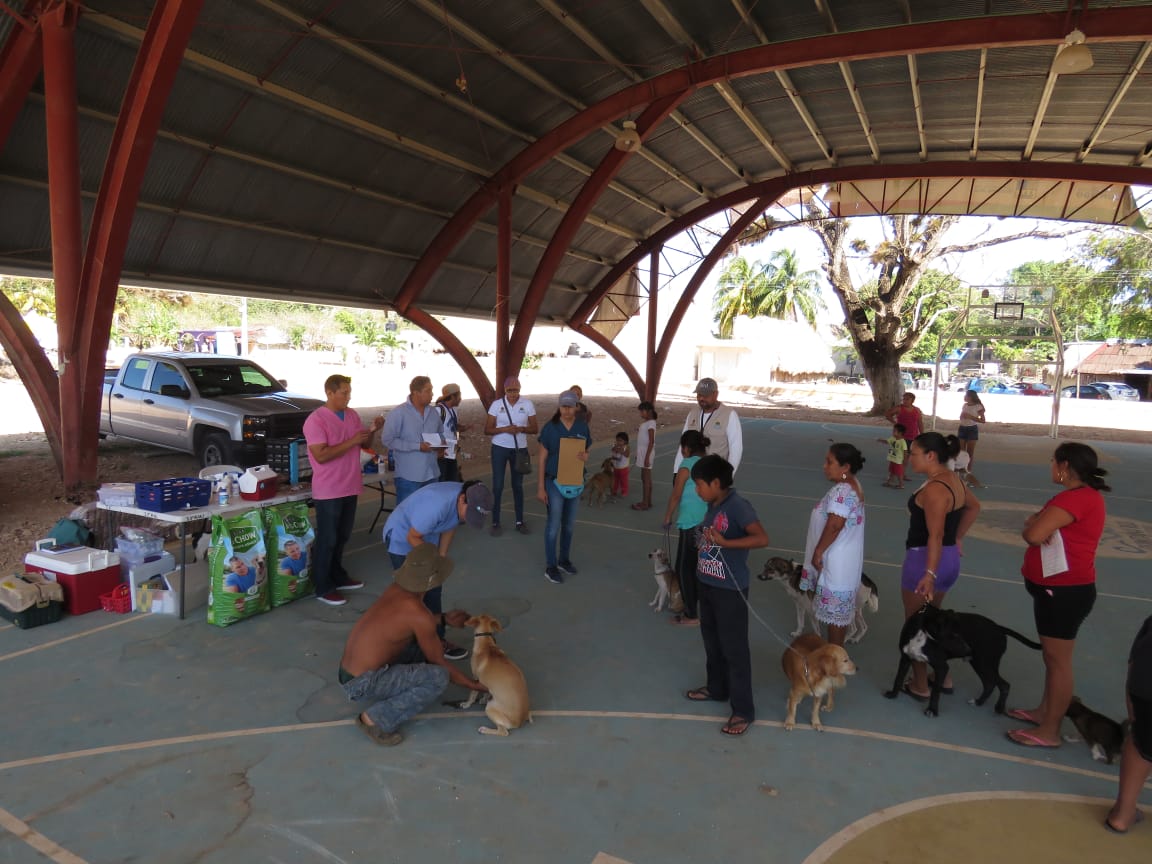 Excelente colaboración durante la jornada de atención médica veterinaria en Chumpon