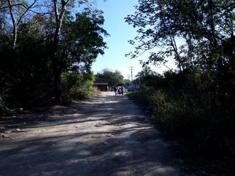 Reportan el avistamiento de un felino en las colonias Pacto Obrero y Centenario