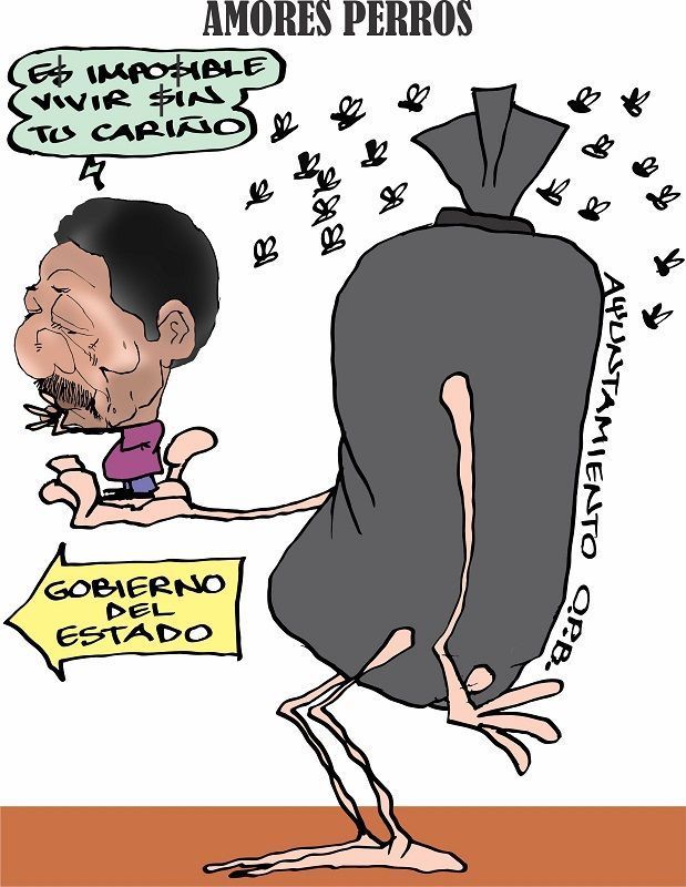COLINAS: Amores perros