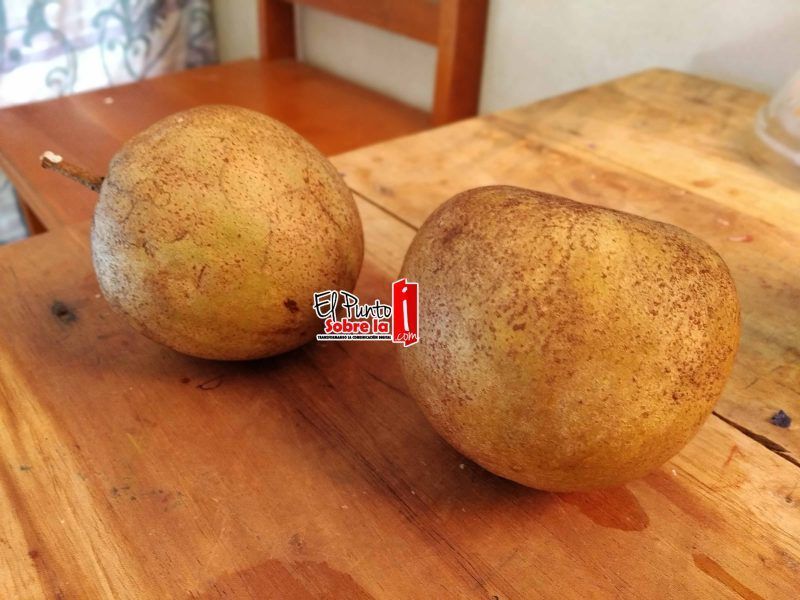 ¿La conocían?